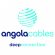 Profile picture of Angola Cables